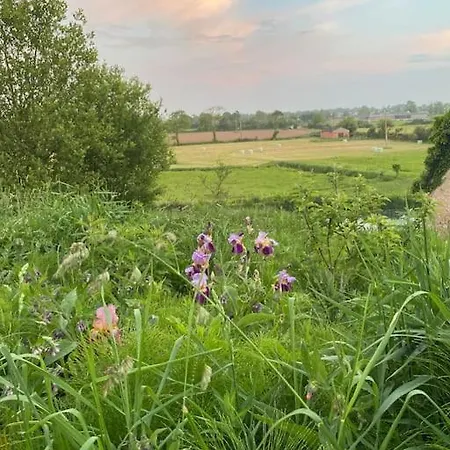 别墅 Roulage Ferme 18eme Jardin Parking Normandie