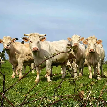 Roulage Ferme 18eme Jardin Parking Normandie *