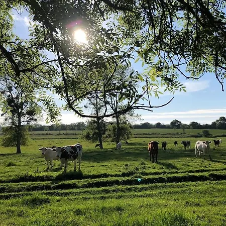 Roulage Ferme 18eme Jardin Parking Normandie Longueville (Calvados)