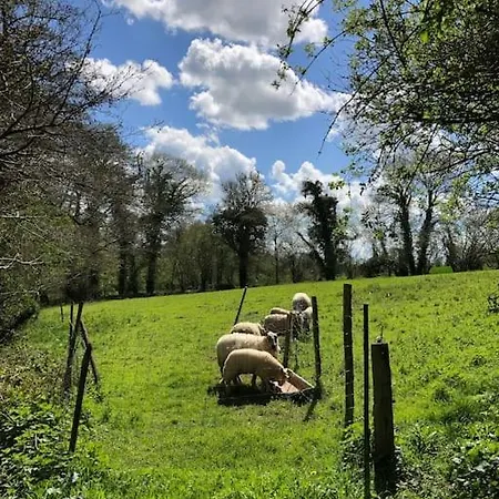 Roulage Ferme 18eme Jardin Parking Normandie *