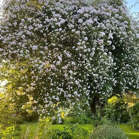Roulage Ferme 18eme Jardin Parking Normandie 别墅 *