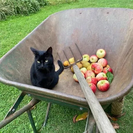 别墅 Roulage Ferme 18eme Jardin Parking Normandie Longueville (Calvados)
