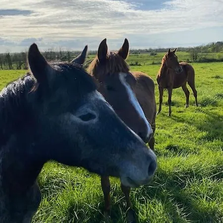 Roulage Ferme 18eme Jardin Parking Normandie 别墅
