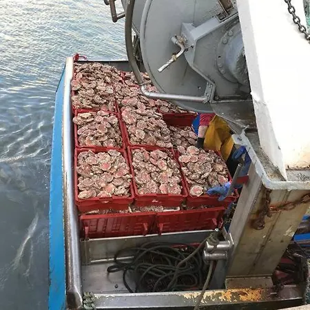 Roulage Ferme 18eme Jardin Parking Normandie 别墅 *