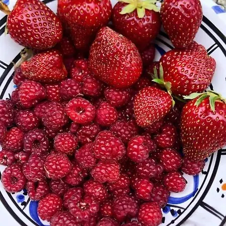 Roulage Ferme 18eme Jardin Parking Normandie