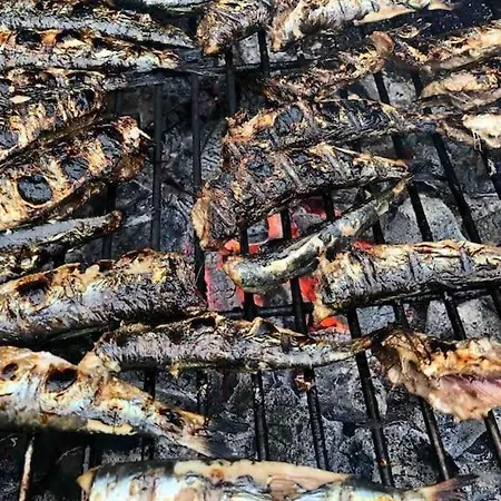 Roulage Ferme 18eme Jardin Parking Normandie 别墅