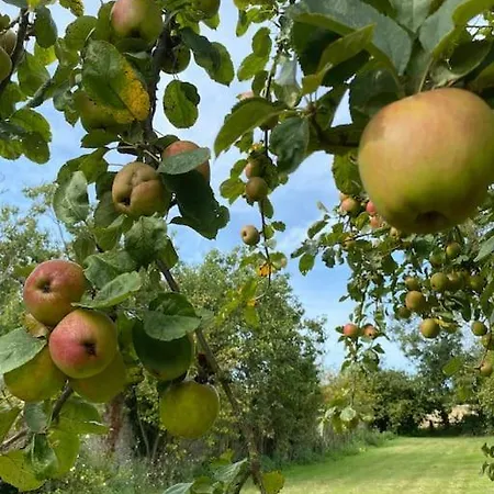 别墅 Roulage Ferme 18eme Jardin Parking Normandie