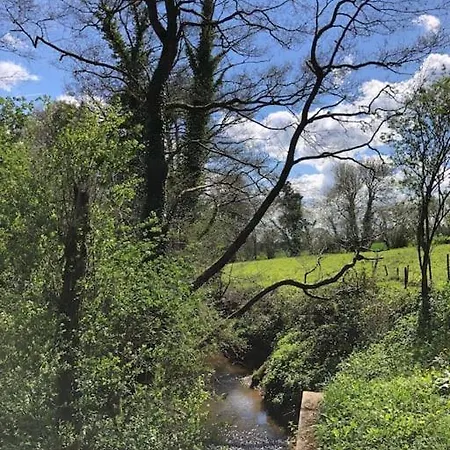 别墅 Roulage Ferme 18eme Jardin Parking Normandie Longueville (Calvados)