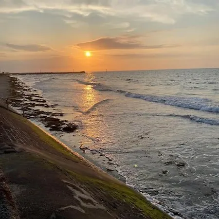 Roulage Ferme 18eme Jardin Parking Normandie *