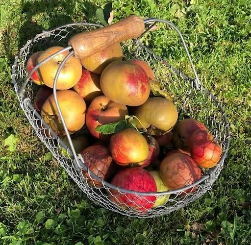 Roulage Ferme 18eme Jardin Parking Normandie Villa *