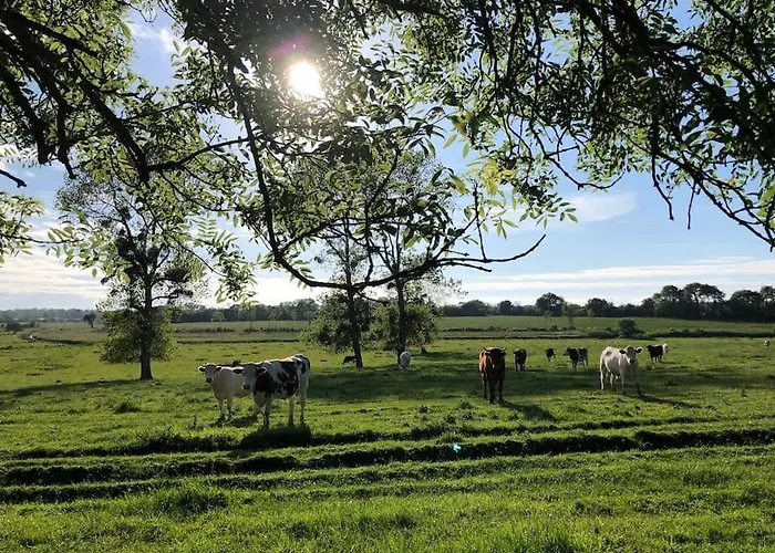 Roulage Ferme 18eme Jardin Parking Normandie Longueville (Calvados)