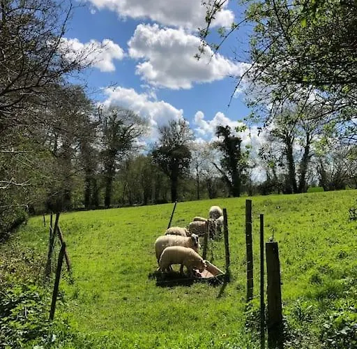 Roulage Ferme 18eme Jardin Parking Normandie *