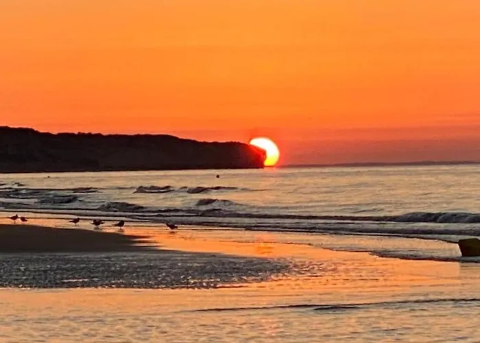 Roulage Ferme 18eme Jardin Parking Normandie Longueville (Calvados)