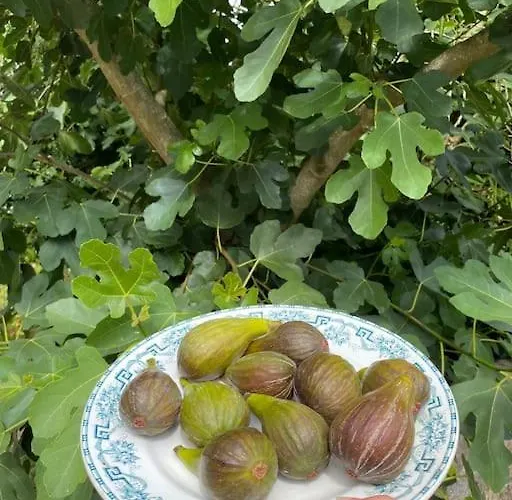 Roulage Ferme 18eme Jardin Parking Normandie Villa *