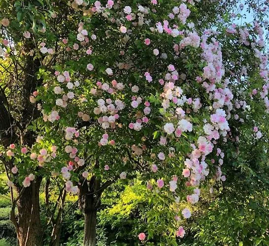 Roulage Ferme 18eme Jardin Parking Normandie Villa