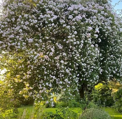 Roulage Ferme 18eme Jardin Parking Normandie Villa *