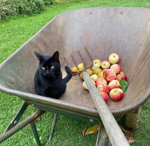 Villa Roulage Ferme 18eme Jardin Parking Normandie Longueville (Calvados)