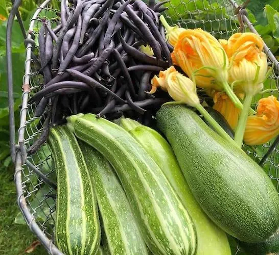 Roulage Ferme 18eme Jardin Parking Normandie Villa *