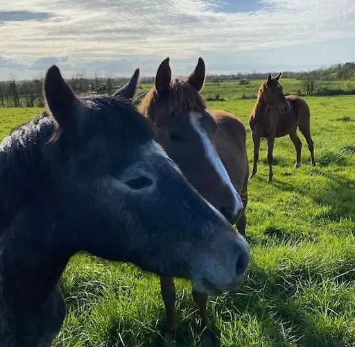 Roulage Ferme 18eme Jardin Parking Normandie Villa