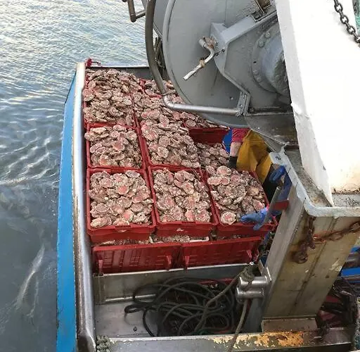 Roulage Ferme 18eme Jardin Parking Normandie Villa *