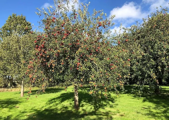 Roulage Ferme 18eme Jardin Parking Normandie Villa *