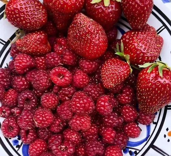 Roulage Ferme 18eme Jardin Parking Normandie