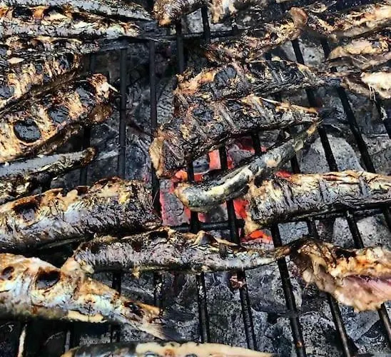 Roulage Ferme 18eme Jardin Parking Normandie Villa